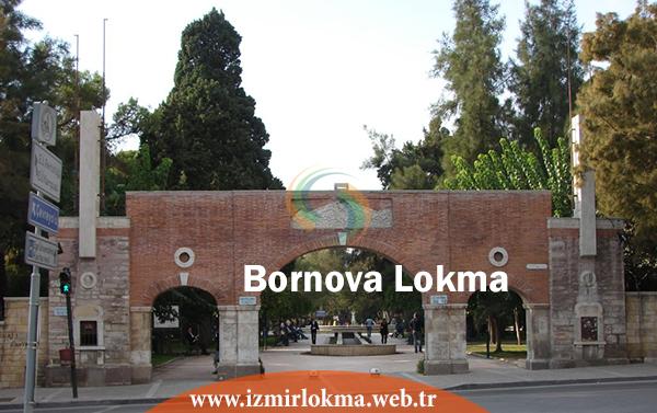 Bornova Lokma